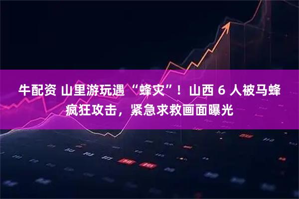 牛配资 山里游玩遇 “蜂灾”！山西 6 人被马蜂疯狂攻击，紧急求救画面曝光
