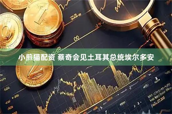 小煎猫配资 蔡奇会见土耳其总统埃尔多安